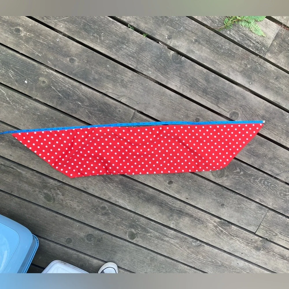 SCARF Polka Dot Red White